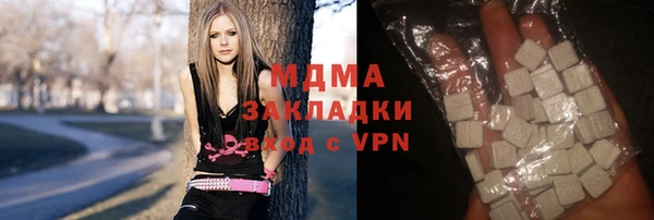 индика Богородицк