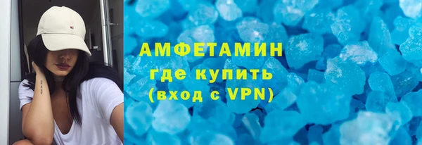 индика Богородицк