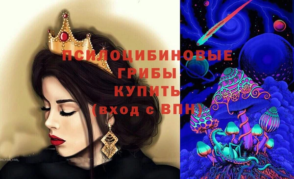 соль ск Бородино