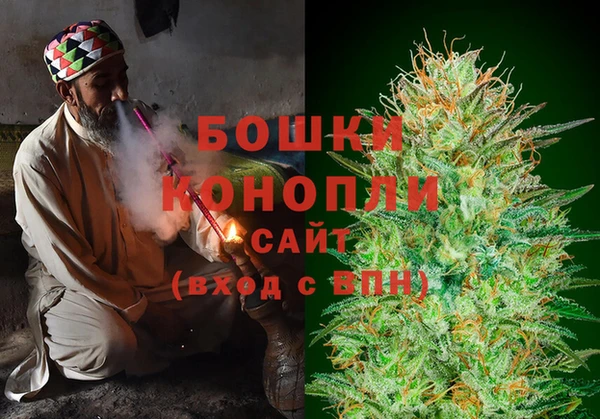 индика Богородицк