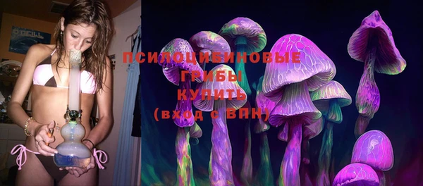 индика Богородицк