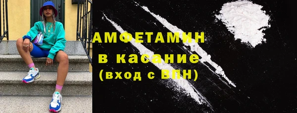 индика Богородицк