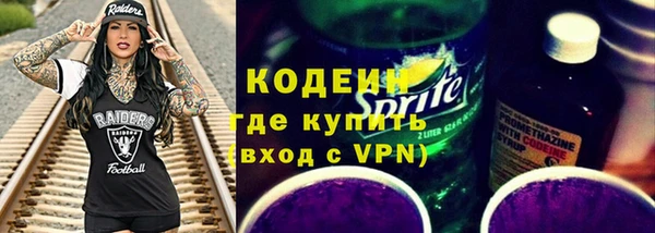 индика Богородицк