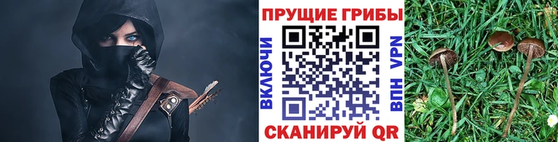 Галлюциногенные грибы прущие грибы  где найти   Мценск 